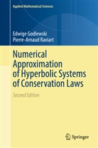 Edwig Godlewski, Edwige Godlewski, Pierre-Arnaud Raviart - Numerical Approximation of Hyperbolic Systems of Conservation Laws