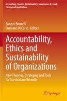 Sandr Brunelli, Sandro Brunelli, Di Carlo, Di Carlo, Emiliano Di Carlo - Accountability, Ethics and Sustainability of Organizations