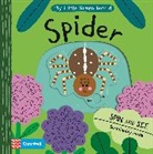 Teresa Bellon, Campbell Books, Teresa (Illustrator) Bellon, Teresa Bellón - Spider