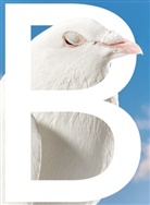 Florian Bräunlich, Felipe Duque, Felix Egle, Philotheus Nisch, POOL publishing, POO publishing... - B-SIDES