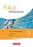 Fokus Mathematik - Bayern - Ausgabe 2017 - 9. Jahrgangsstufe Intensivierungsheft mit Lösungen