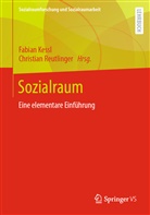 Kessl, Fabia Kessl, Fabian Kessl, Reutlinger, Reutlinger, Christian Reutlinger - Sozialraum