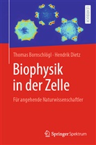 Bornschlögl, Thoma Bornschlögl, Thomas Bornschlögl, Hendrik Dietz - Biophysik in der Zelle
