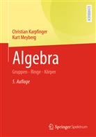 Karpfinger, Christia Karpfinger, Christian Karpfinger, Kurt Meyberg - Algebra