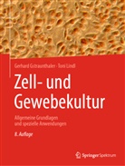 Gstraunthaler, Gerhar Gstraunthaler, Gerhard Gstraunthaler, Toni Lindl - Zell- und Gewebekultur