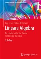 Liesen, Jör Liesen, Jörg Liesen, Volker Mehrmann - Lineare Algebra