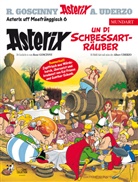 Ren Goscinny, René Goscinny, Albert Uderzo - Asterix Mundart Meefränggisch VI