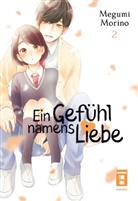 Megumi Morino - Ein Gefühl namens Liebe 02