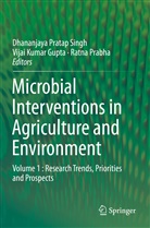 Vijai Kumar Gupta, Vija Kumar Gupta, Vijai Kumar Gupta, Ratna Prabha, Dhananjaya Pratap Singh - Microbial Interventions in Agriculture and Environment
