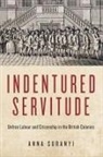 Anna Suranyi - Indentured Servitude