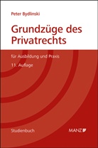 Peter Bydlinski - Grundzüge des Privatrechts