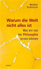 Werner Schüßler - Warum die Welt nicht alles ist