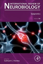 Subhash C. Pandey - Epigenetics