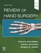 Beredjiklian, Pedro Beredjiklian, Bozentka, Gallant, Pedro K Beredjiklian, Pedro K. Beredjiklian... - REVIEW OF HAND SURGERY