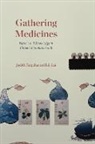 Judith Farquhar, Judith Lai Farquhar, Farquhar Judith, Lili Lai, Lai Lili - Gathering Medicines