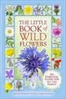 Caz Buckingham, Caz Pinnington Buckingham, Andrea Pinnington - Little Book of Wild Flowers