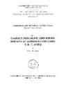 Bruce B Williams, Bruce B. Williams - Excavations Between Abu Simbel and the Sudan Frontier, Part 5