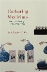 Judith Farquhar, Judith Lai Farquhar, Farquhar Judith, Lili Lai, Lai Lili - Gathering Medicines