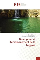 Mohamed Yacine Bendjedou, Omar Elahcene - Description et fonctionnement de la foggara