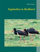 Walter Garnier - Vogelwelten in Bockhorst