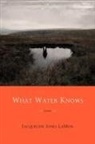 Jacqueline Jones Lamon - What Water Knows