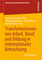 Stefanie Dernbach-Stolz, Philip Eigenmann, Philipp Eigenmann, Chantal Kamm, Chantal Kamm u a, Stefan Keßler - Transformationen von Arbeit, Beruf und Bildung in internationaler Betrachtung