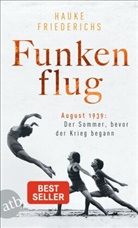 Hauke Friederichs - Funkenflug