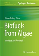 Kristia Spilling, Kristian Spilling - Biofuels from Algae