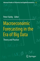 Pete Fuleky, Peter Fuleky - Macroeconomic Forecasting in the Era of Big Data