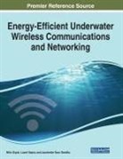 Nitin Goyal, Jasminder Kaur Sandhu, Luxmi Sapra - Energy-Efficient Underwater Wireless Communications and Networking