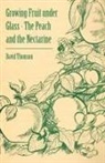David Thomson - Growing Fruit Under Glass - The Peach and the Nectarine