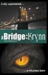 Erik Schubach - The Bridge