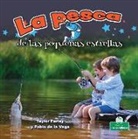 Taylor Farley - La Pesca de Las Pequeñas Estrellas (Little Stars Fishing)