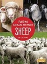 Amy Culliford - Sheep