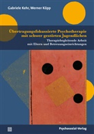 Irma Gleiss, Gabriel Kehr, Gabriele Kehr, Werner Köpp - Übertragungsfokussierte Psychotherapie mit schwer gestörten Jugendlichen