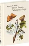 Maria Sibylla Merian - Blüten, Raupen, Schmetterlinge