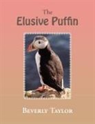 Beverly Taylor - The Elusive Puffin
