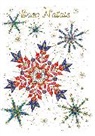Biglietto Buon Natale C/rilievo E Foil 20BN03