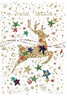 Biglietto Buon Natale C/rilievo E Foil 20BN10