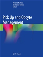 Baldini, Baldini, Domenico Baldini, Antoni Malvasi, Antonio Malvasi - Pick Up and Oocyte Management