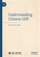 Xuguang Song - Understanding Chinese GDP
