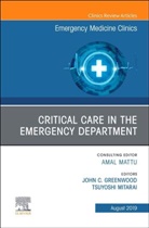 John C Greenwood, John C. Greenwood, John C. Greenwood, Tsuyoshi Mitarai - Critical Care in the Emergency Department, An Issue of Emergency Medicine Clinics of North America