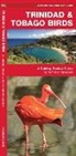 James Kavanagh, Raymond Leung, Leung Raymond Leung Raymond - Trinidad & Tobago Birds