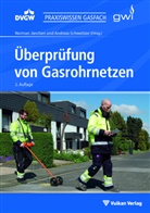 Norma Jänchen, Norman Jänchen, Schweitzer, Schweitzer, Andreas Schweitzer - Überprüfung von Gasrohrnetzen