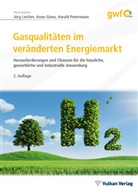 Ann Giese, Anne Giese, Jörg Leicher, Harald Petermann - Gasqualitäten im veränderten Energiemarkt