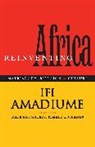 Ifi Amadiume, Professor Ifi Amadiume - Re-Inventing Africa