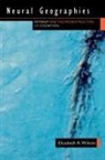 Elizabeth A Wilson, Elizabeth A. Wilson - Neural Geographies