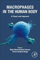 Tarcio Braga, Tarcio Teodoro Braga, Tárcio Teodoro Braga, Tarcio Teodoro (Professor Braga, Tarso Braga, Tarso (Professor Braga... - Macrophages in the Human Body