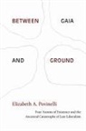 Elizabeth A Povinelli, Elizabeth A. Povinelli - Between Gaia and Ground