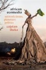 Cajetan Iheka - African Ecomedia